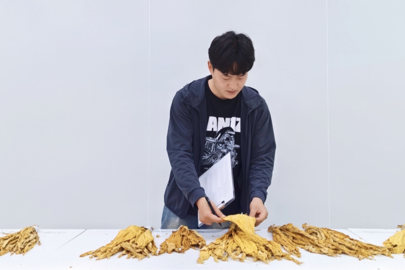 开展导师带教烟叶分级考试