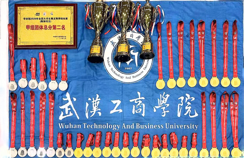 武汉工商学院龙狮队获得的荣誉