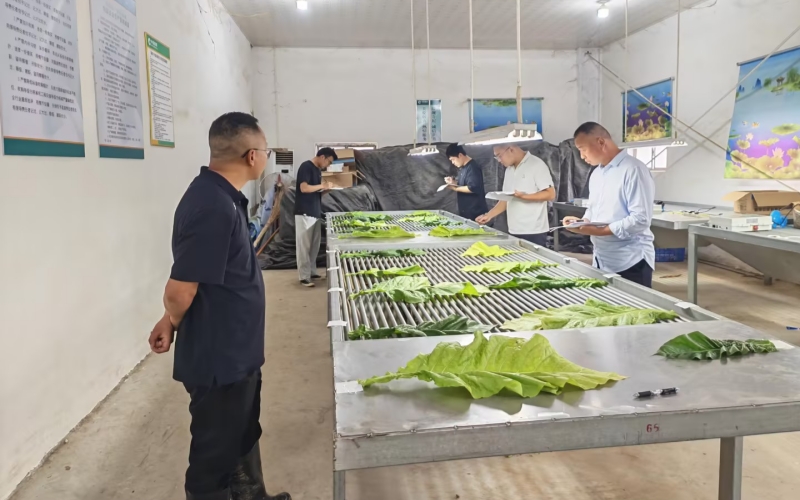 培训实操环节现场。