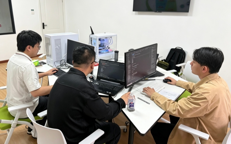 团队成员正在进行项目研发。