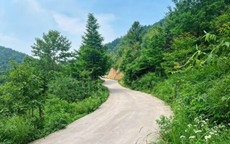 向宕村乡村道路硬化改善变化。