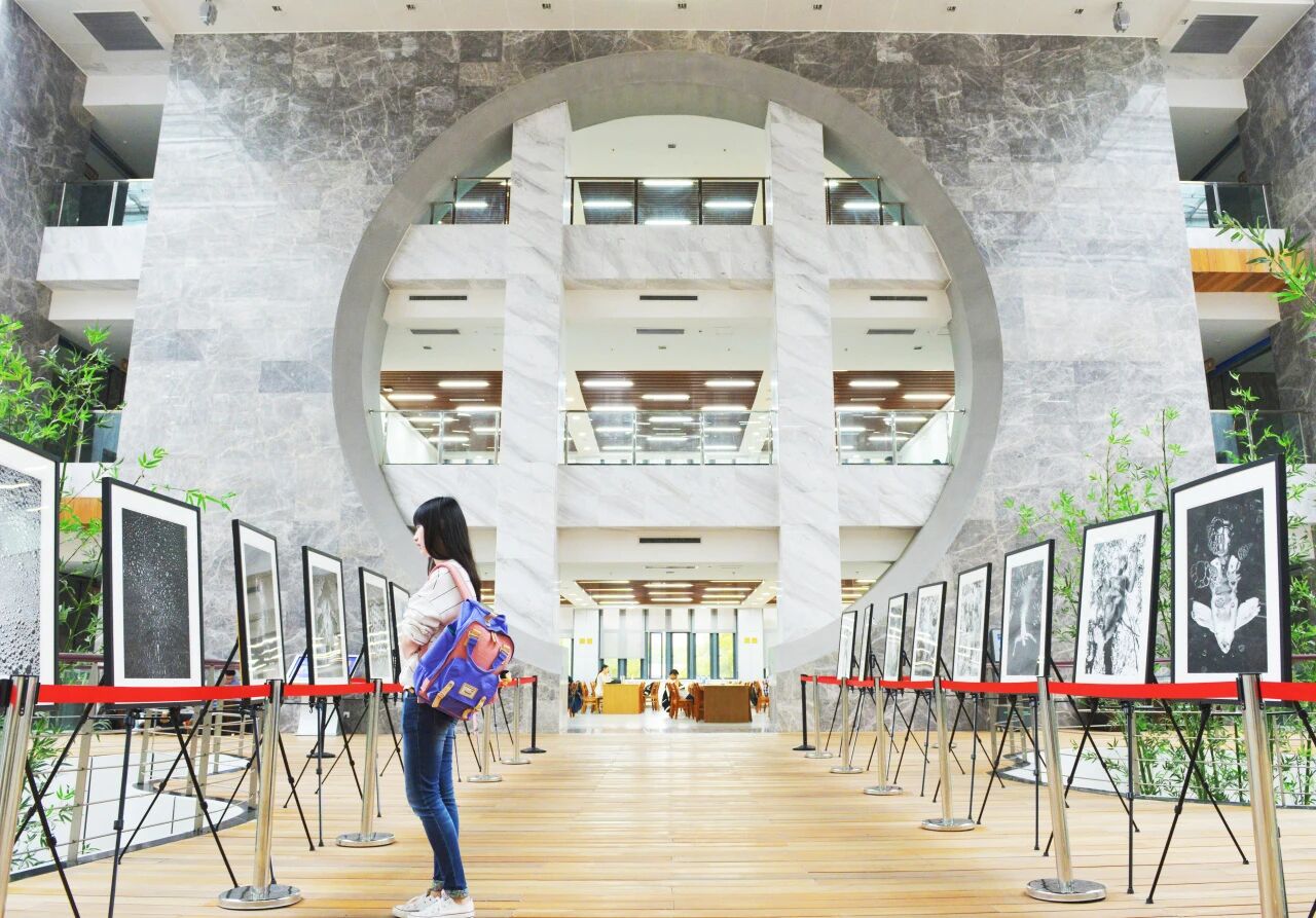 图书馆的展览