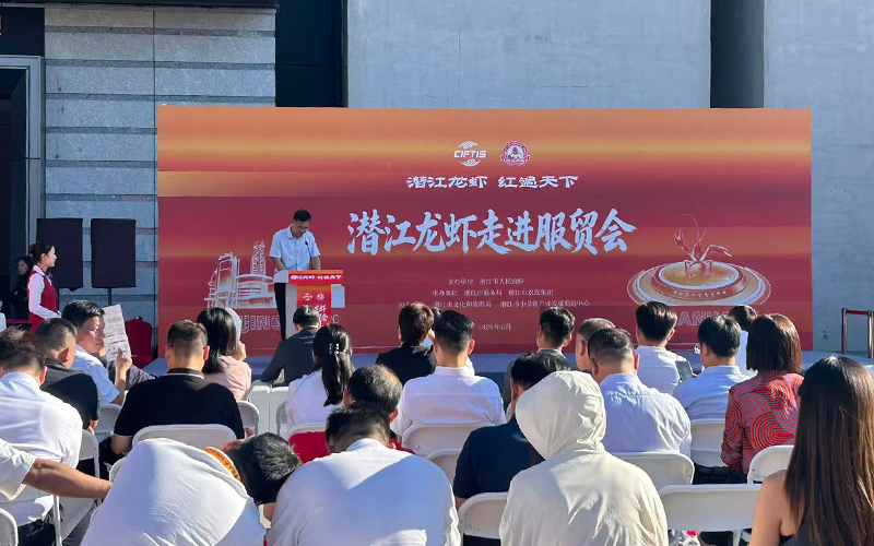 2026年中国国际服务贸易交易会现场